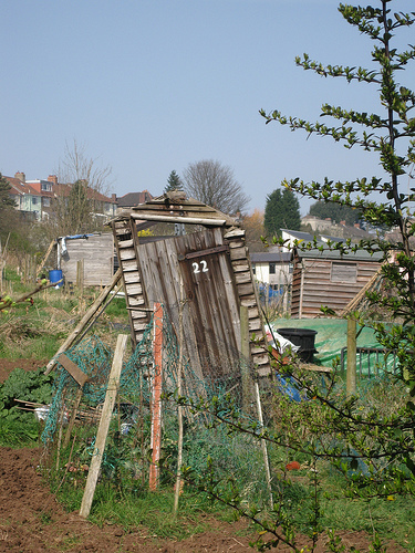 Ramshackle at the Allotments